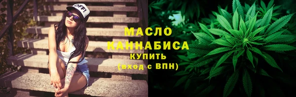 стаф Бородино