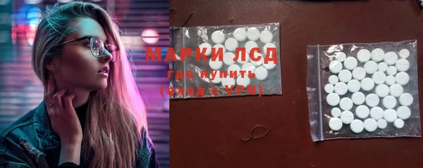 стаф Бородино
