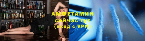стаф Бородино
