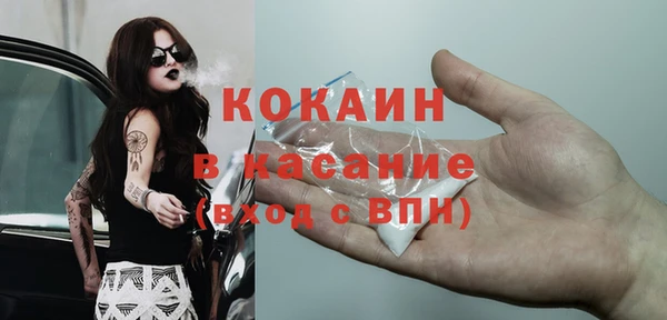 стаф Бородино