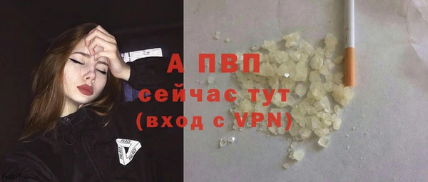 стаф Бородино