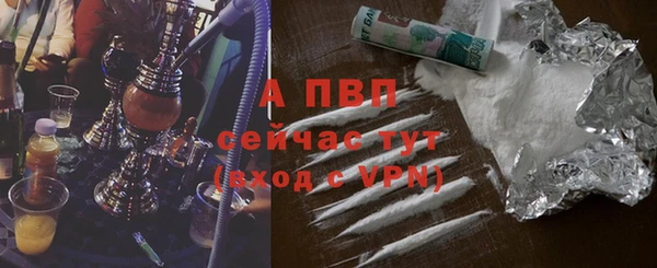 стаф Бородино