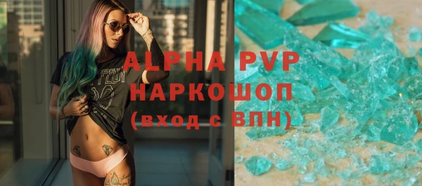 стаф Бородино