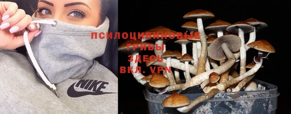 стаф Бородино